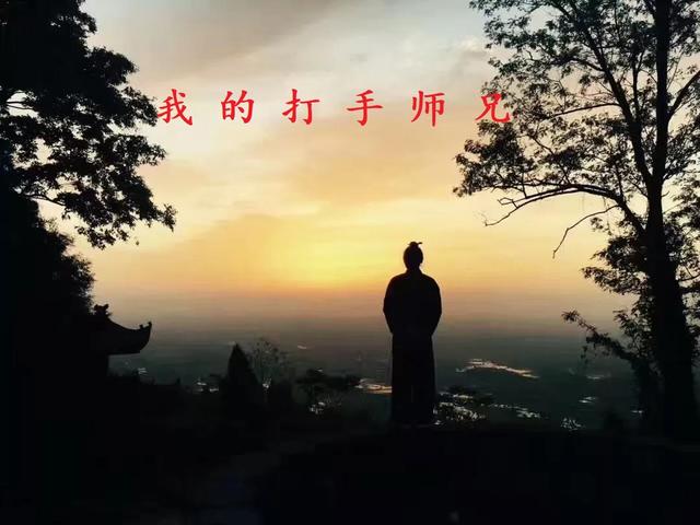 我的打手师兄小说推文